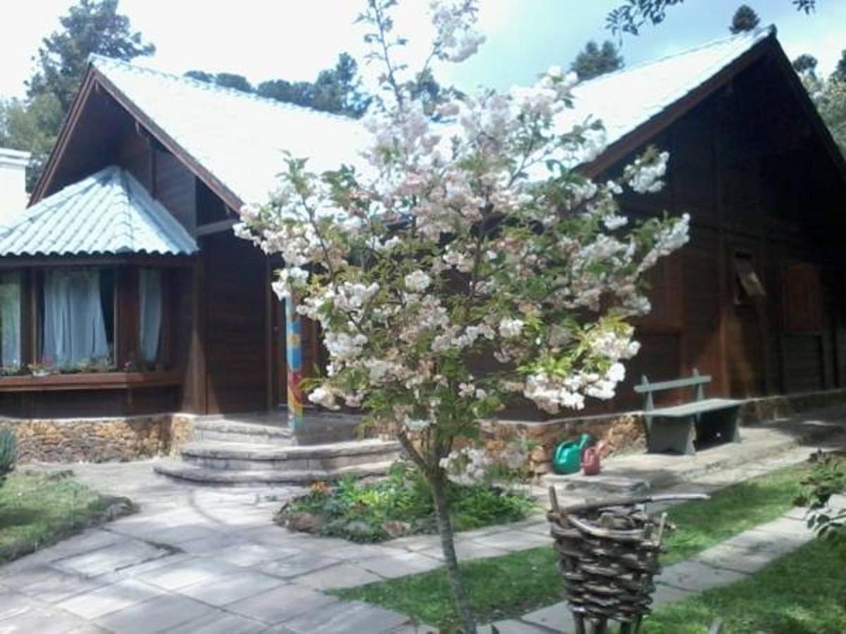 Chalé Martinho Gramado Exterior foto