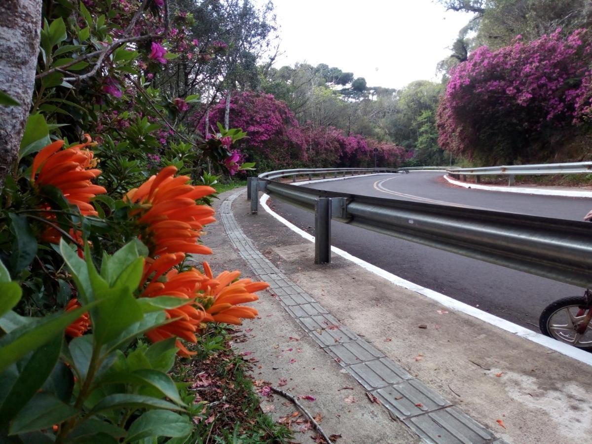 Chalé Martinho Gramado Exterior foto
