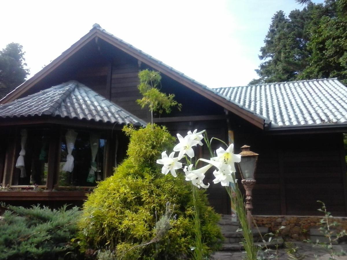 Chalé Martinho Gramado Exterior foto