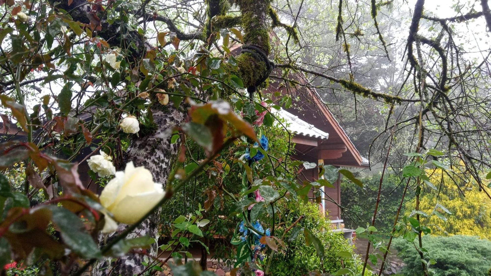 Chalé Martinho Gramado Exterior foto