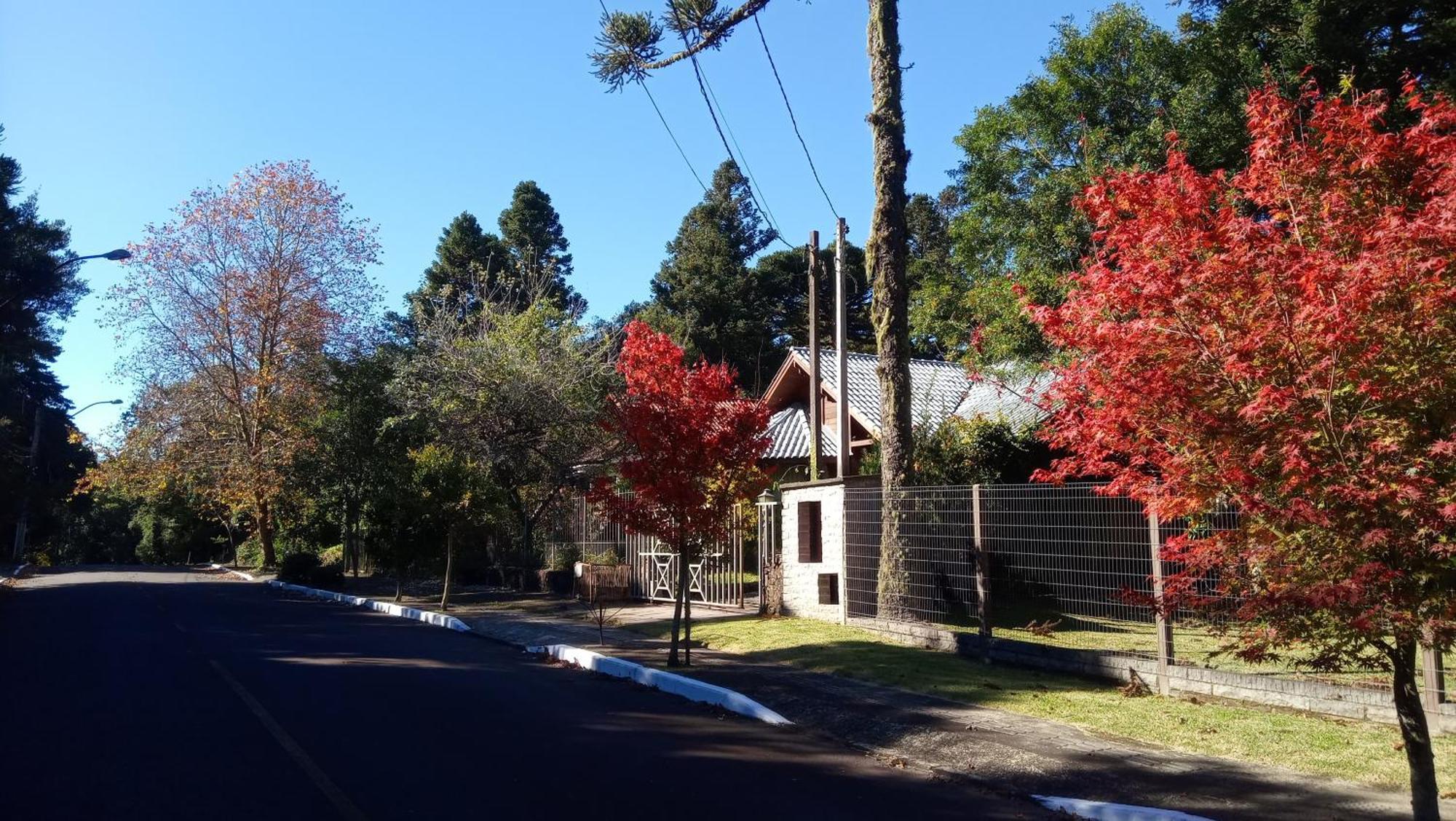 Chalé Martinho Gramado Exterior foto
